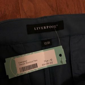 Blue Grey dress pant, size 12/31 Never worn